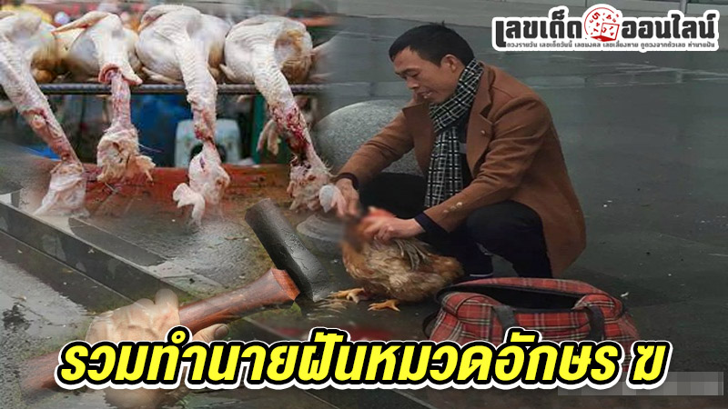 รูปภาพรวมทำนายฝัน หมวดอักษร ฆของ lekdedonline
