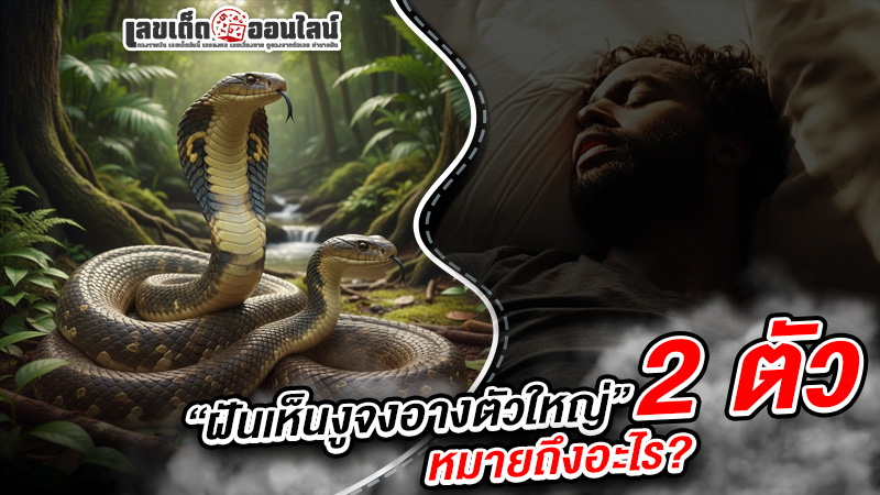 รูปภาพฝันเห็นงูจงอางตัวใหญ่ 2 ตัวหมายถึงอะไรของ lekdedonline