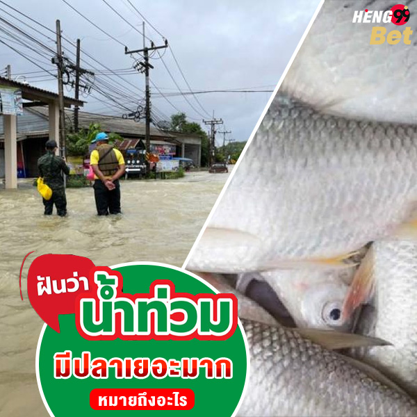 รูปภาพฝันว่าน้ำท่วมมีปลาเยอะมากหมายถึงอะไรของ heng99