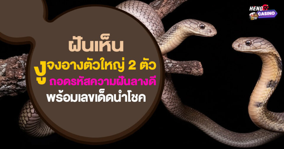 ฝันเห็นงูจงอางตัวใหญ่ 2 ตัว -"I dreamt of seeing two large king cobras."
